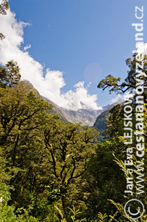 Novy-Zeland-Fiordland-Milford-Road-pohle