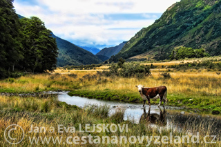 Novy-Zeland-Glenorchy-Greenstone-Caples-
