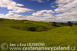 Novy-Zeland-Mata-Mata-nataceni-filmu-Pan