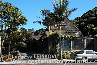 Novy-Zeland-Tutukaka-agentura-Dive-Tutuk