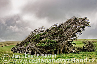 Novy-Zeland-cestovani-na-Novem-Zelandu-C