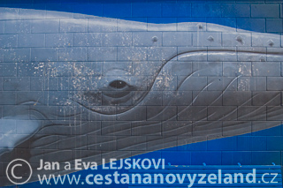 Novy-Zeland-cestovani-na-Novem-Zelandu-K
