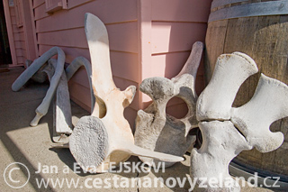 Novy-Zeland-cestovani-na-Novem-Zelandu-K