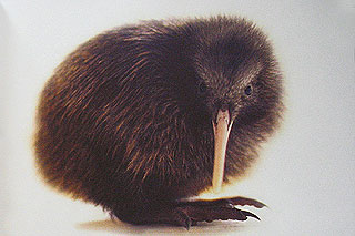 Novy-Zeland-cestovani-na-Novem-Zelandu-K
