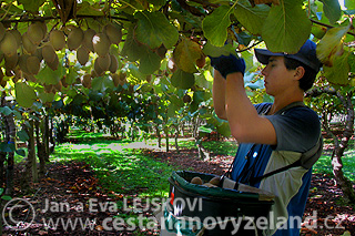 Novy-Zeland-cestovani-na-Novem-Zelandu-M
