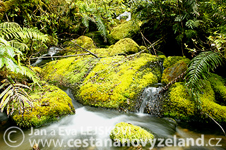 Novy-Zeland-cestovani-na-Novem-Zelandu-N