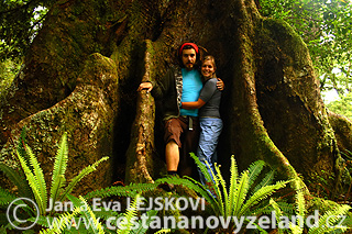 Novy-Zeland-cestovani-na-Novem-Zelandu-N