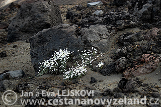 Novy-Zeland-cestovani-na-Novem-Zelandu-N