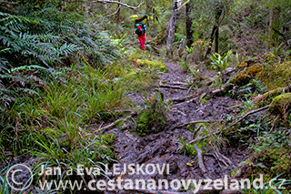 Novy-Zeland-cestovani-na-Novem-Zelandu-S