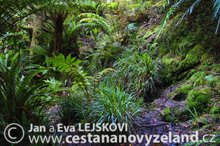 Novy-Zeland-cestovani-na-Novem-Zelandu-S