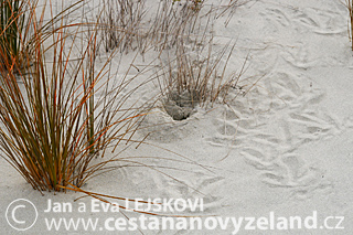 Novy-Zeland-cestovani-na-Novem-Zelandu-S