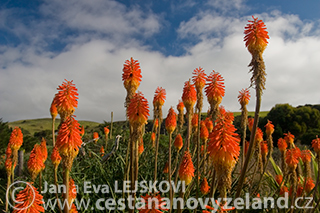 Novy-Zeland-cestovani-na-Novem-Zelandu-p