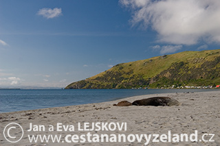 Novy-Zeland-cestovani-na-Novem-Zelandu-p
