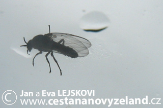 Novy-Zeland-cestovani-na-Novem-Zelandu-s