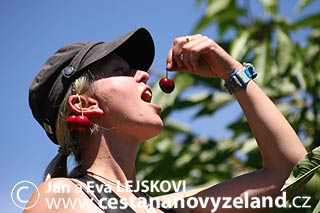 Novy-Zeland-sezonni-prace-na-Novem-Zelan